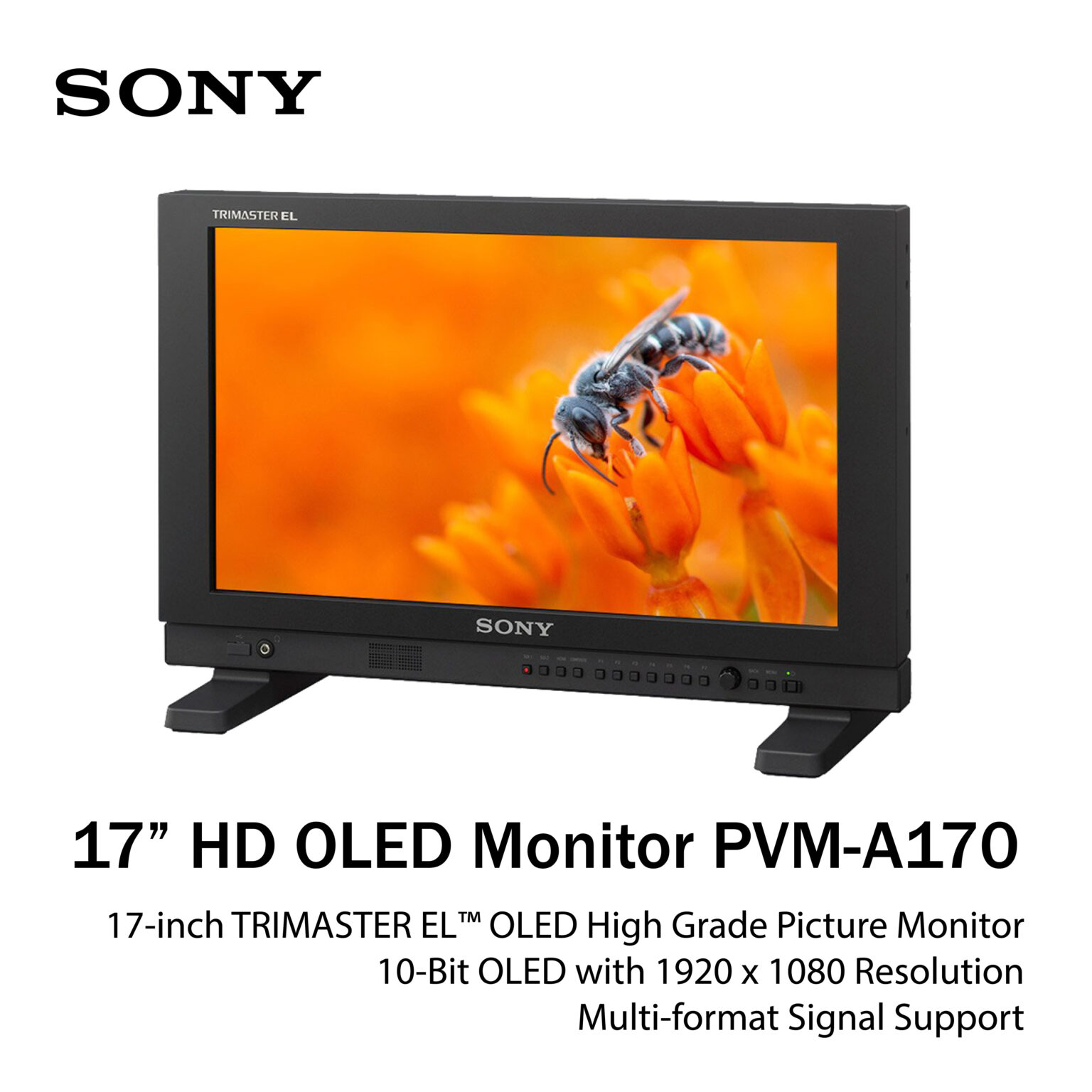 SONY PVMA170 ZTV BROADCAST SERVICES INC.